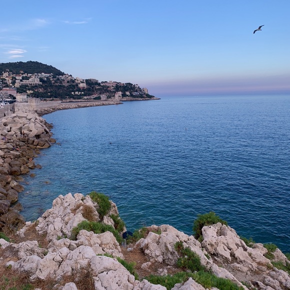 Meet your Posher, Jasmine - Picture 3 of 8